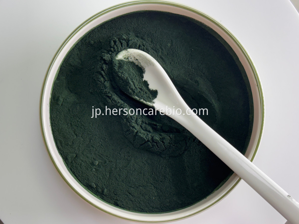 Spirulina Powder2(1) Organic Spirulina Powder close-up showing texture and color